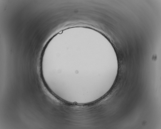 X0000093751518200711061036