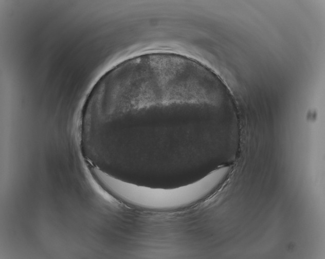 X0000093751519200711061036