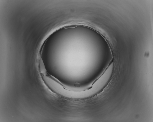 X0000093751520200711061036