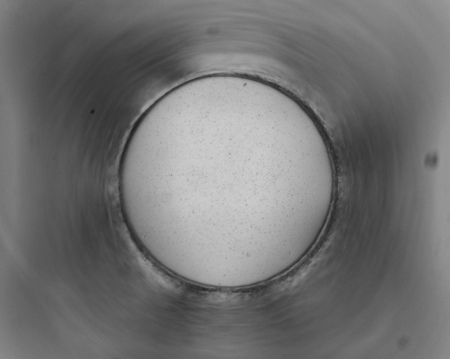 X0000093751521200711061036