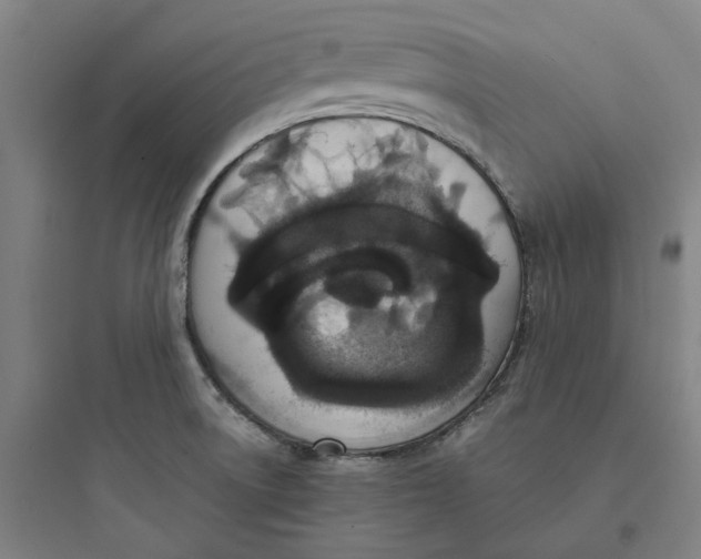 X0000093751522200711061036