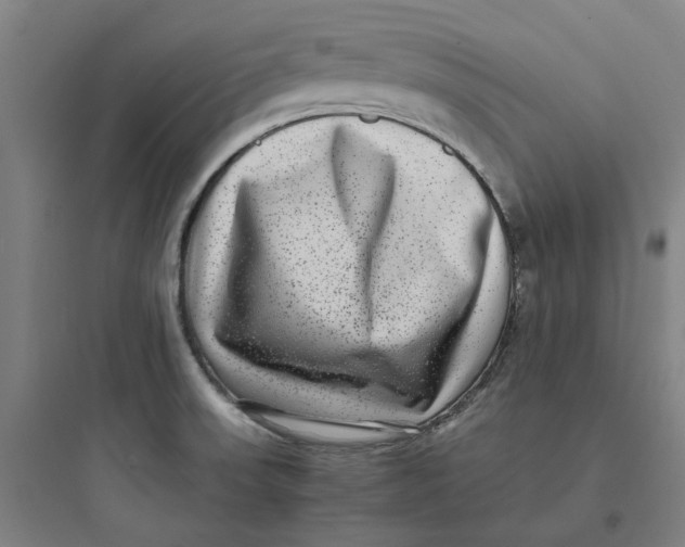 X0000093751523200711061036