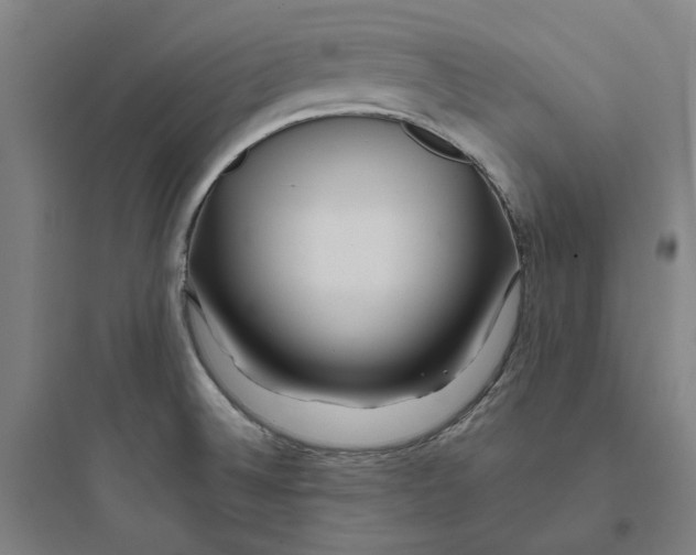 X0000093751524200711061036
