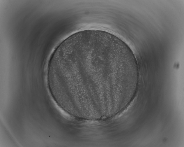 X0000093751525200711061036