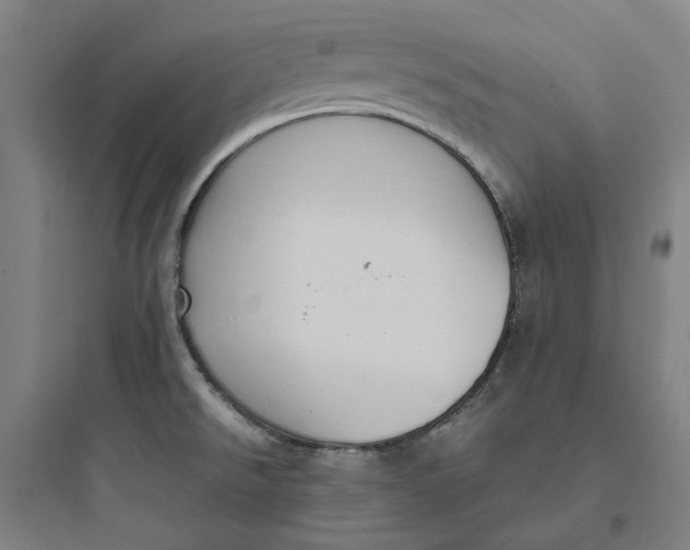 X0000093751526200711061036
