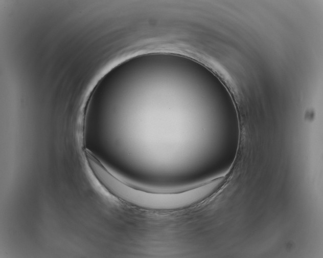 X0000093751528200711061036