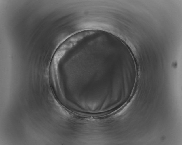 X0000093751529200711061036