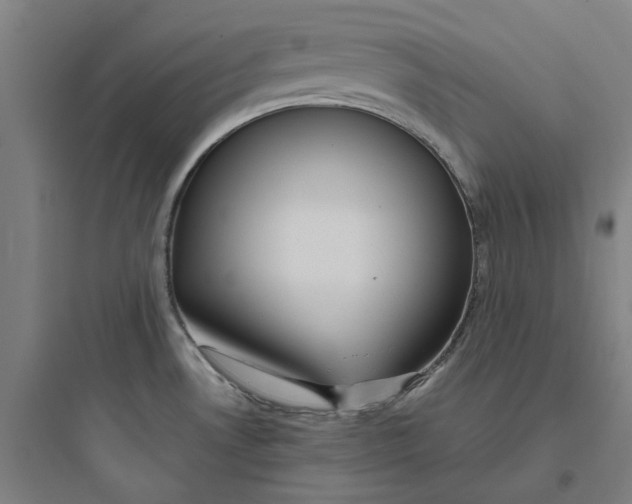 X0000093751530200711061036
