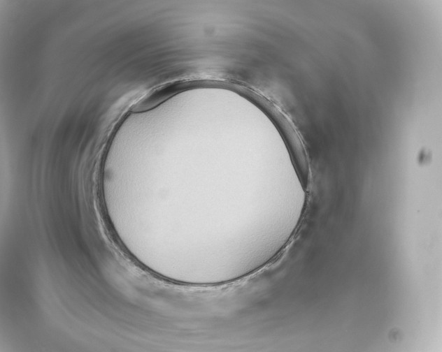 X0000093750001200711131135