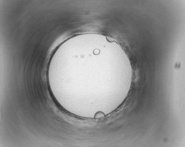 X0000093750004200711131135