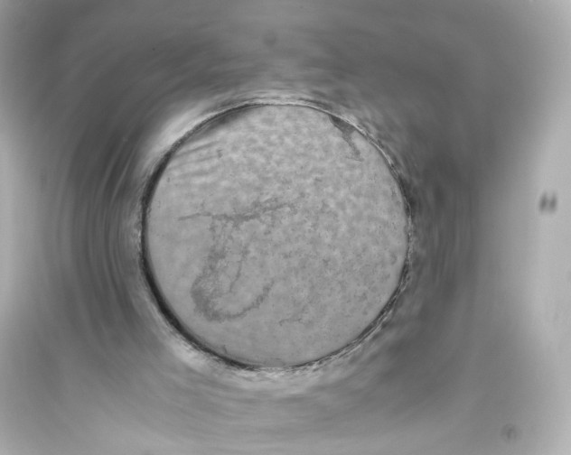 X0000093750005200711131135