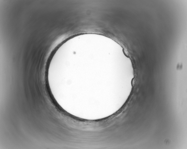 X0000093750008200711131135