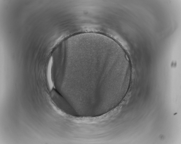 X0000093750009200711131135