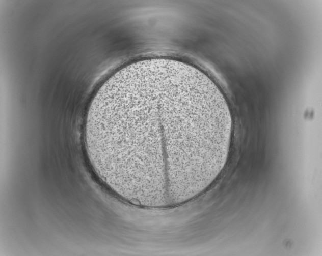 X0000093750010200711131135