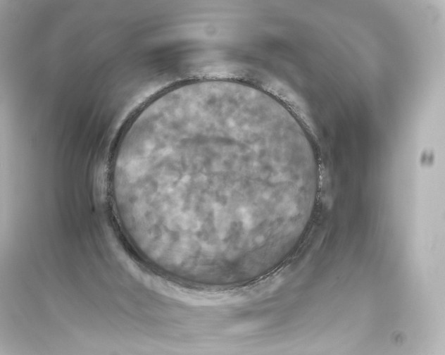 X0000093750012200711131135