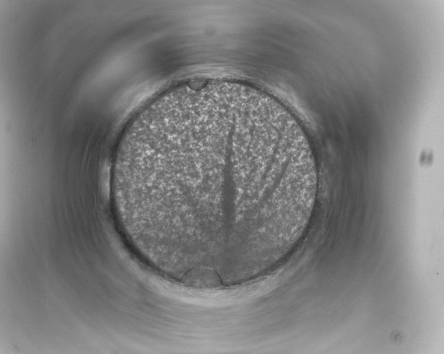 X0000093750014200711131135