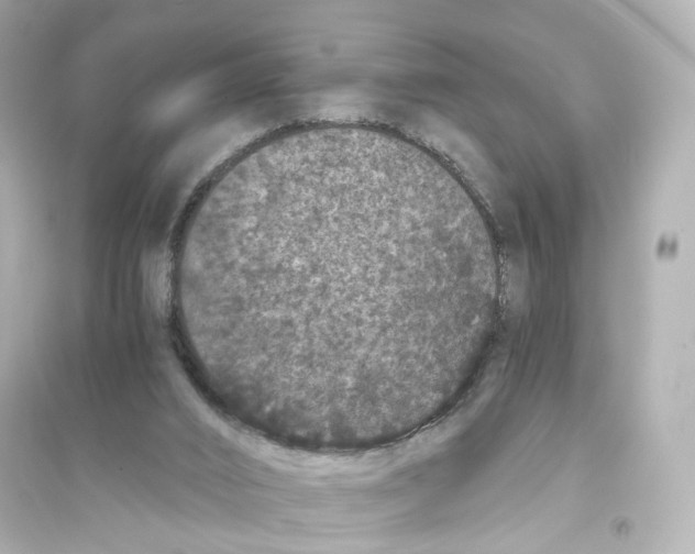 X0000093750016200711131135