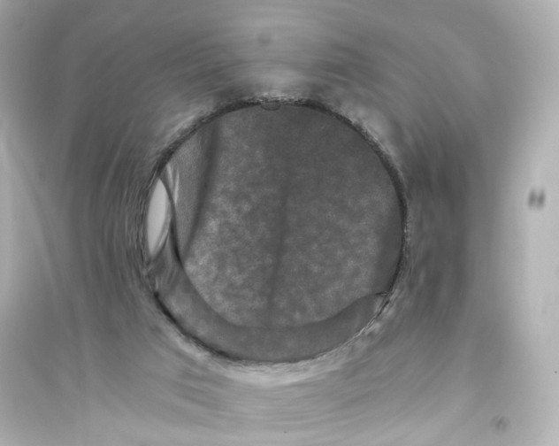 X0000093750017200711131135