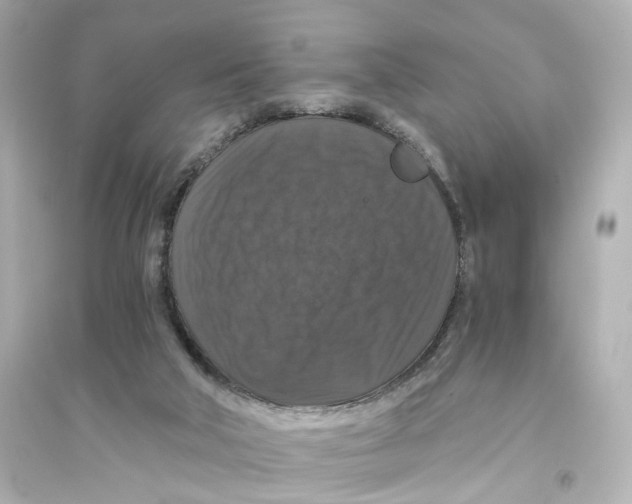 X0000093750018200711131135