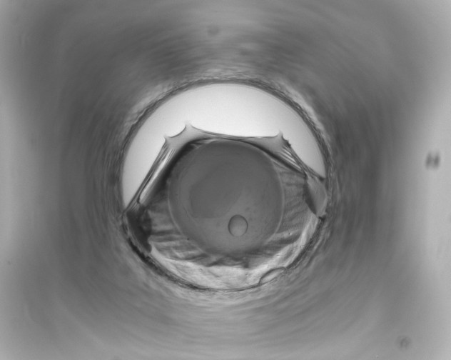 X0000093750019200711131135