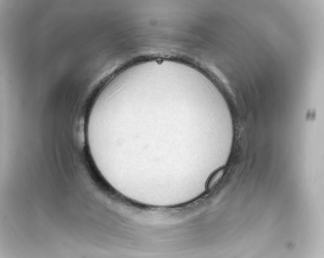 X0000093750020200711131135