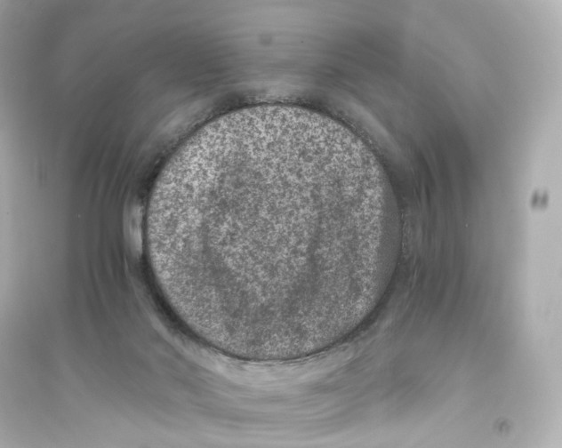 X0000093750022200711131135