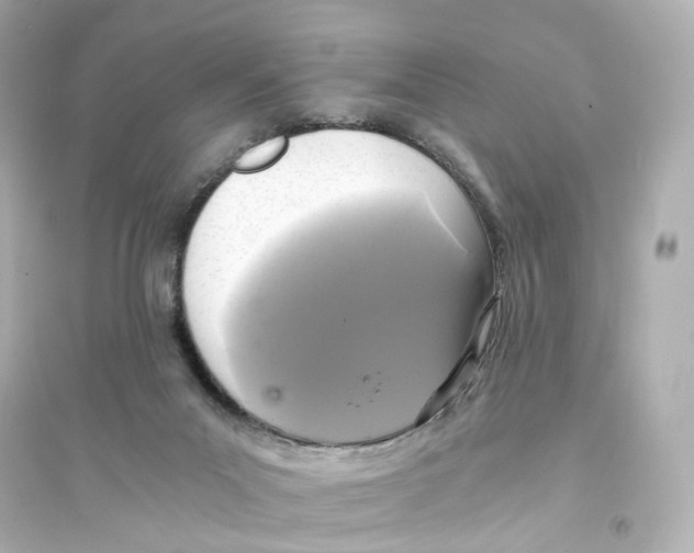 X0000093750023200711131135