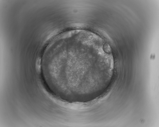 X0000093750024200711131135