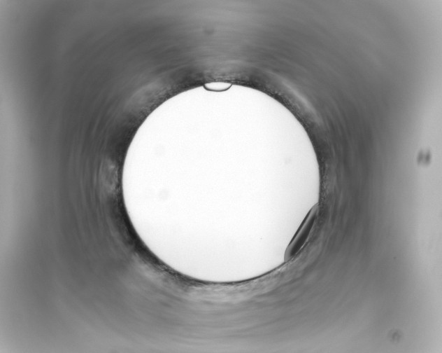 X0000093750025200711131135