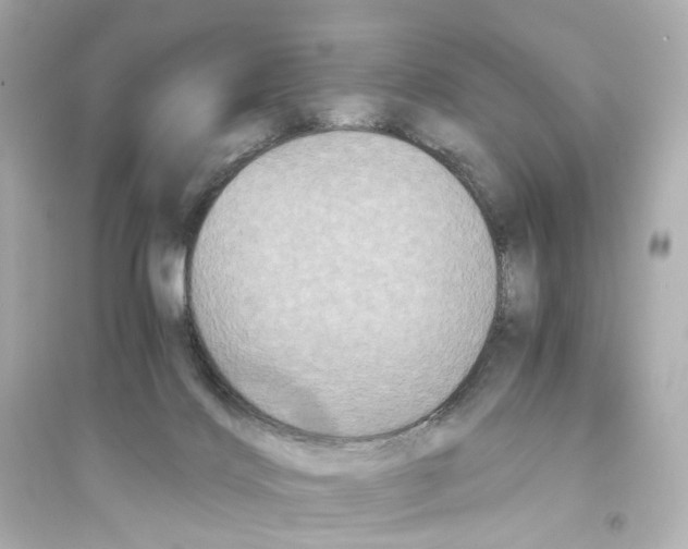 X0000093750028200711131135