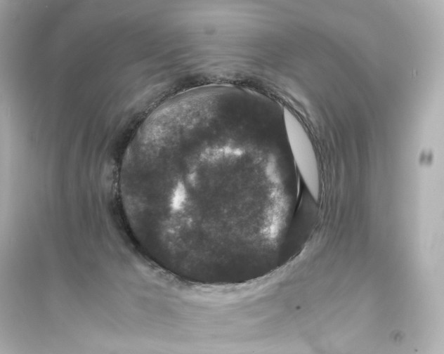 X0000093750029200711131135