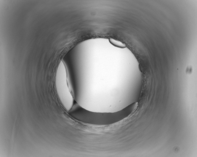 X0000093750033200711131135