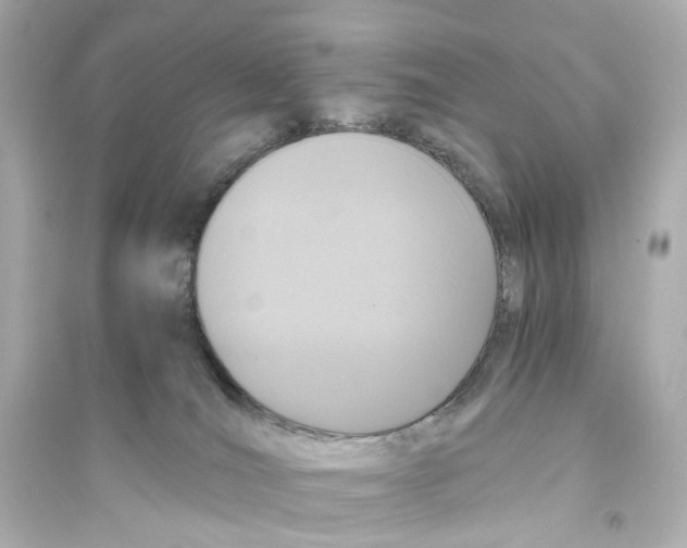 X0000093750036200711131135