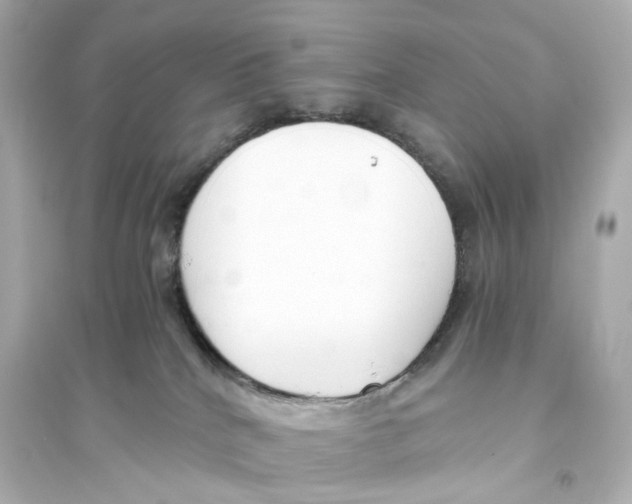 X0000093750040200711131135