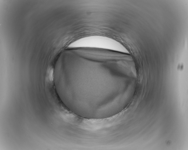 X0000093750041200711131135