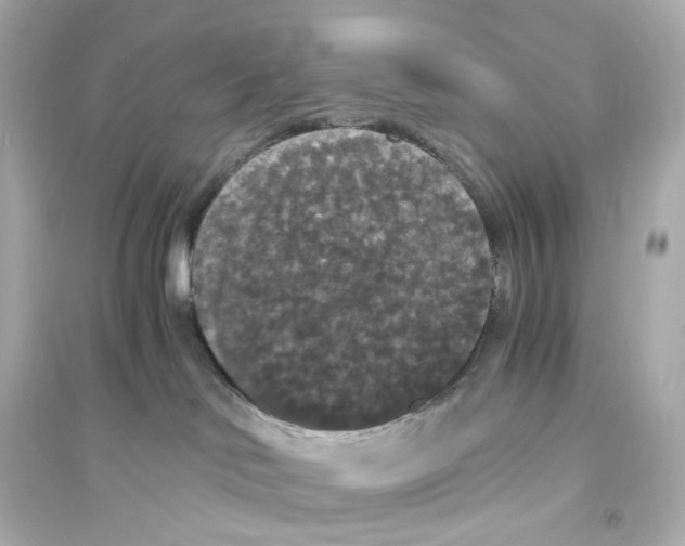 X0000093750046200711131135