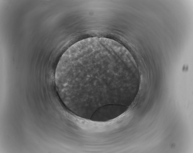 X0000093750048200711131135