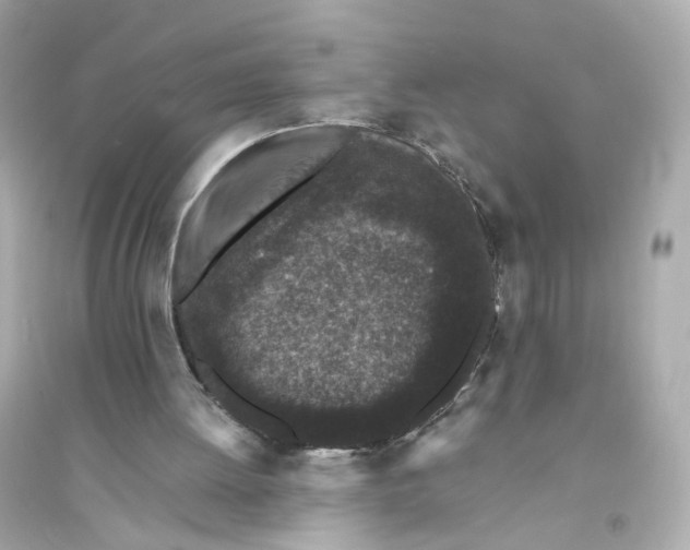 X0000093750052200711131134