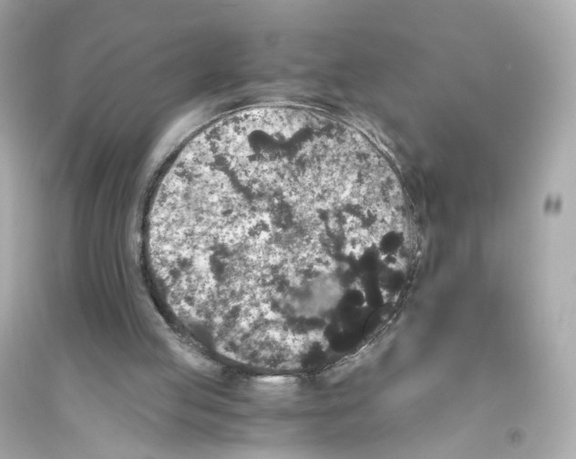 X0000093750053200711131134