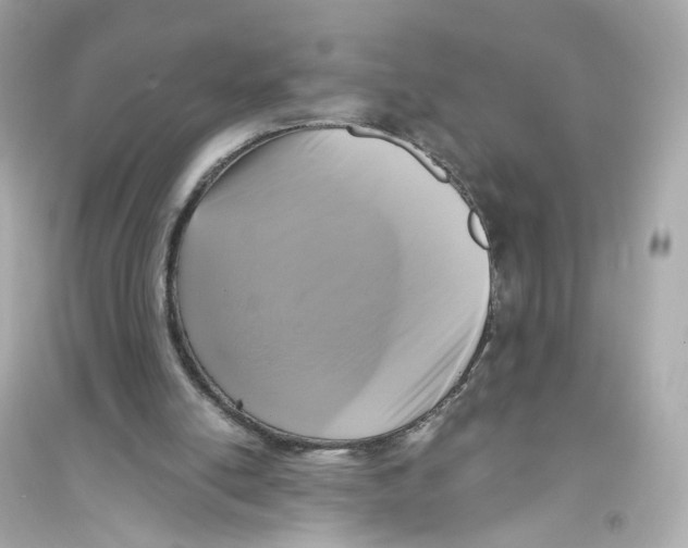 X0000093750054200711131134