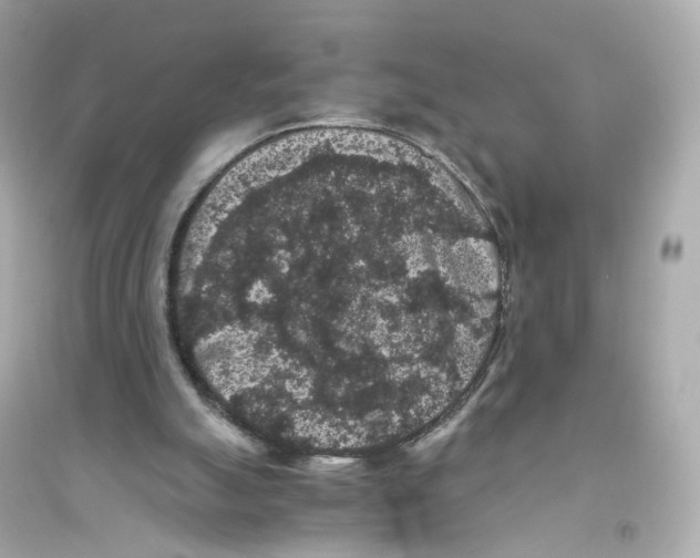 X0000093750055200711131134