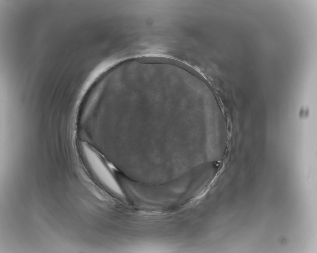 X0000093750056200711131134