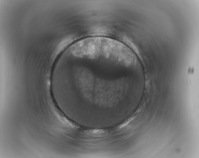 X0000093750059200711131134