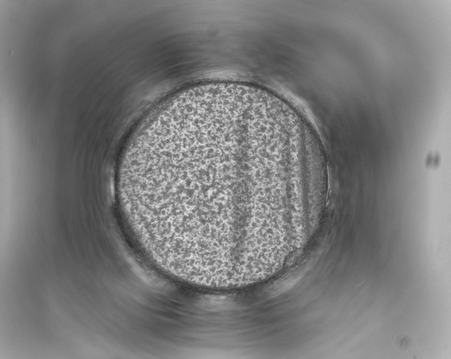 X0000093750061200711131134