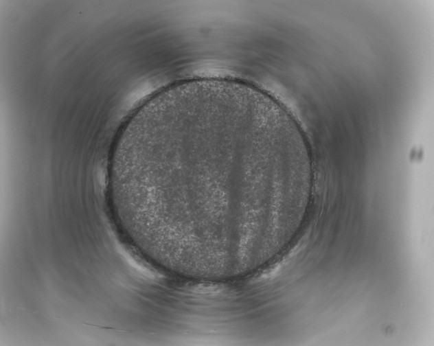 X0000093750063200711131134