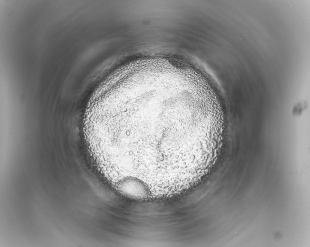 X0000093750065200711131134