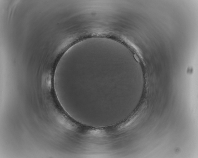 X0000093750067200711131134