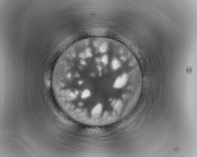 X0000093750069200711131134