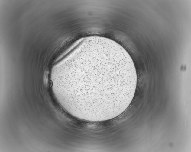 X0000093750070200711131134