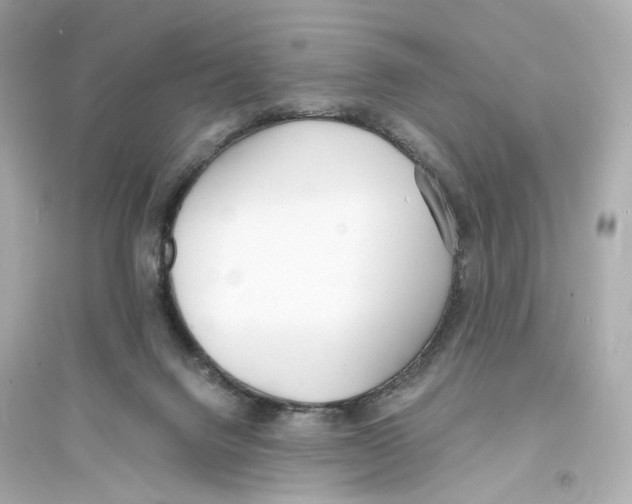 X0000093750072200711131134